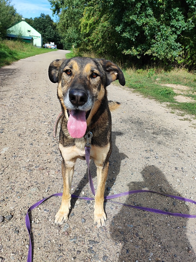P-1328 - ROKI